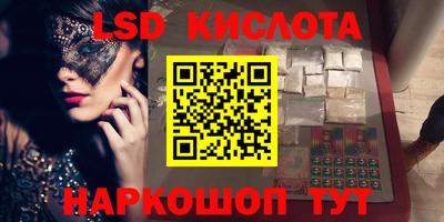 прущие грибы Камышлов