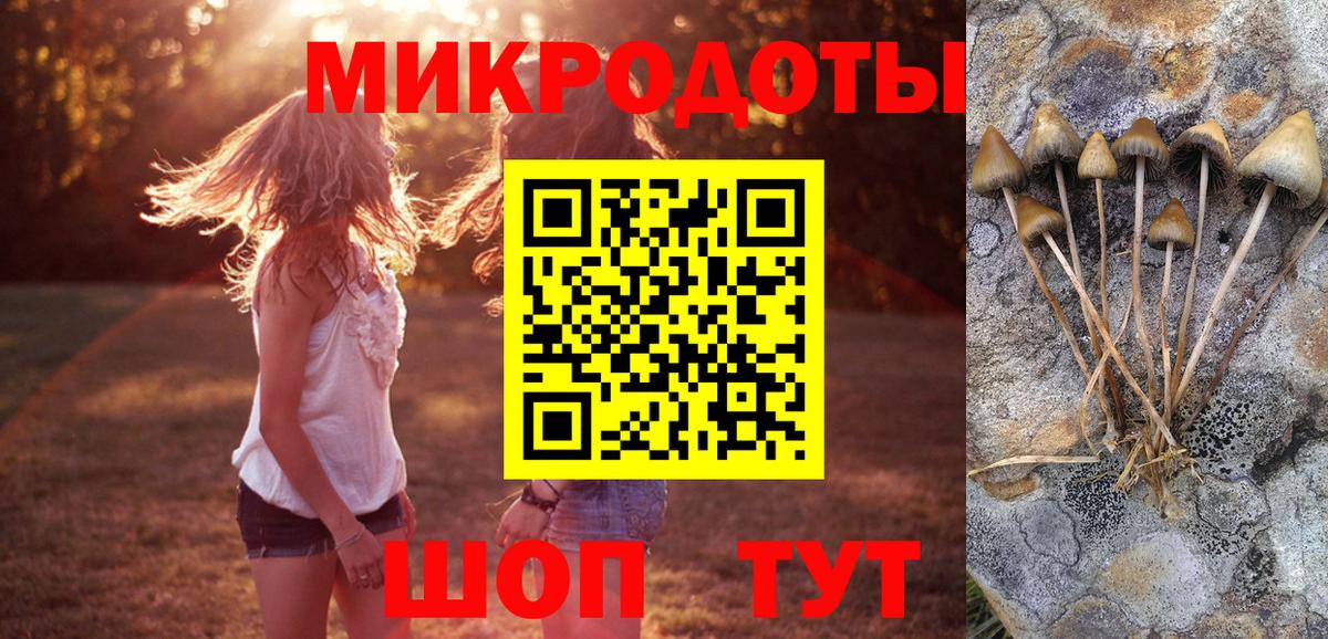 Галлюциногенные грибы ЛСД Кузнецк