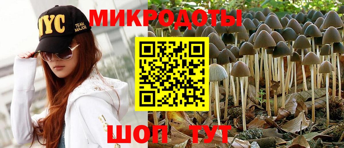Кузнецк  Псилоцибиновые грибы Psilocybe  цены наркотик  Галлюциногенные грибы Magic Shrooms  Вход с VPN 