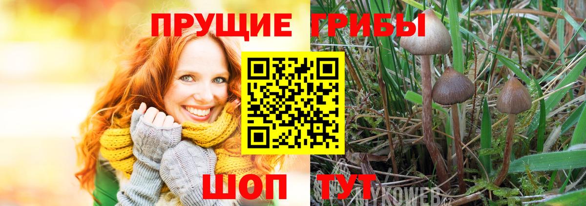 MDMA Кузнецк